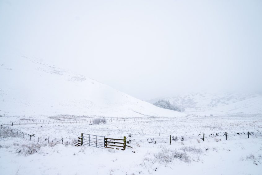 Snowfall in Perthshire on Thursday morning.