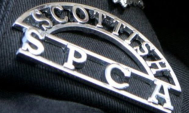 Scottish SSPCA badge