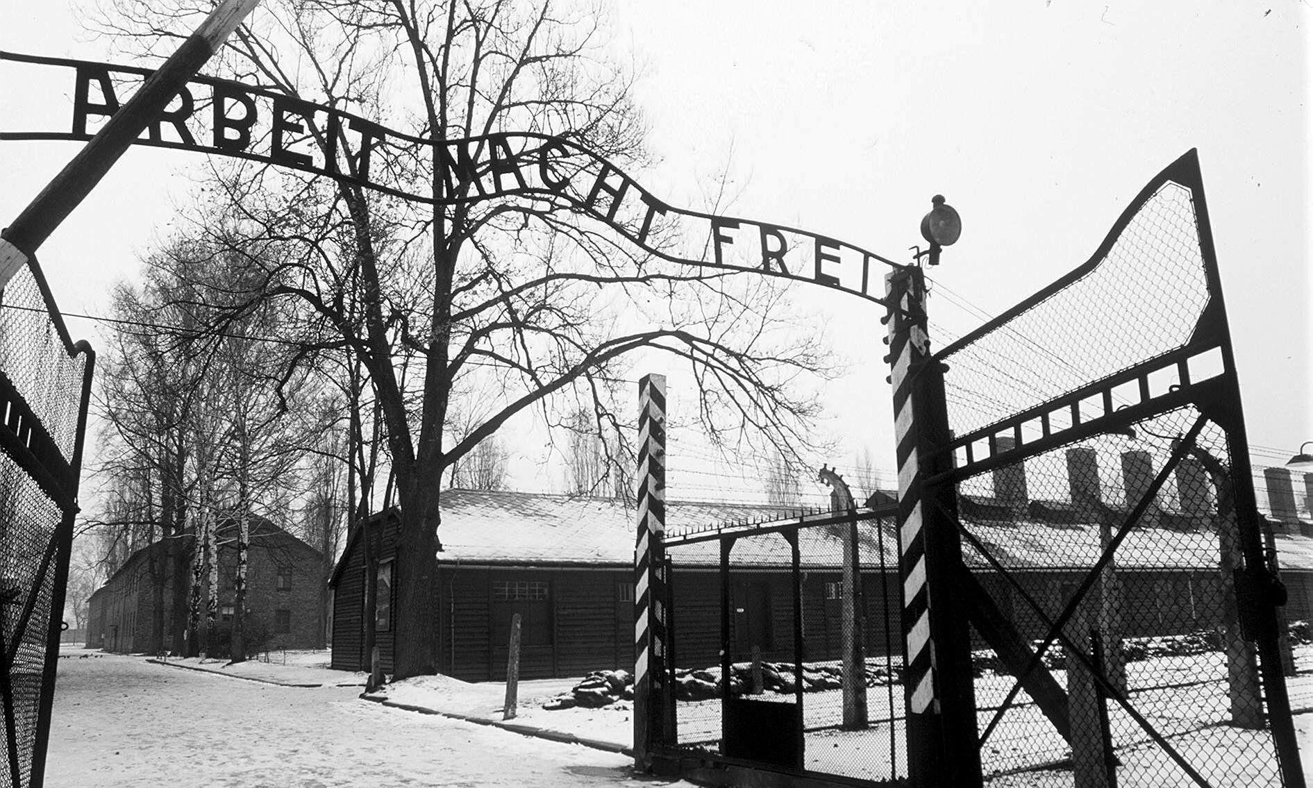 Did a Nazi error lead to the death of Dundonian John Fletcher at Auschwitz in 1942? - Vimarsana News