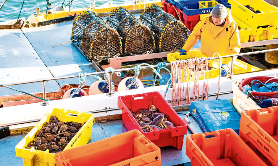 A fisherman at Arbroath Harbour.