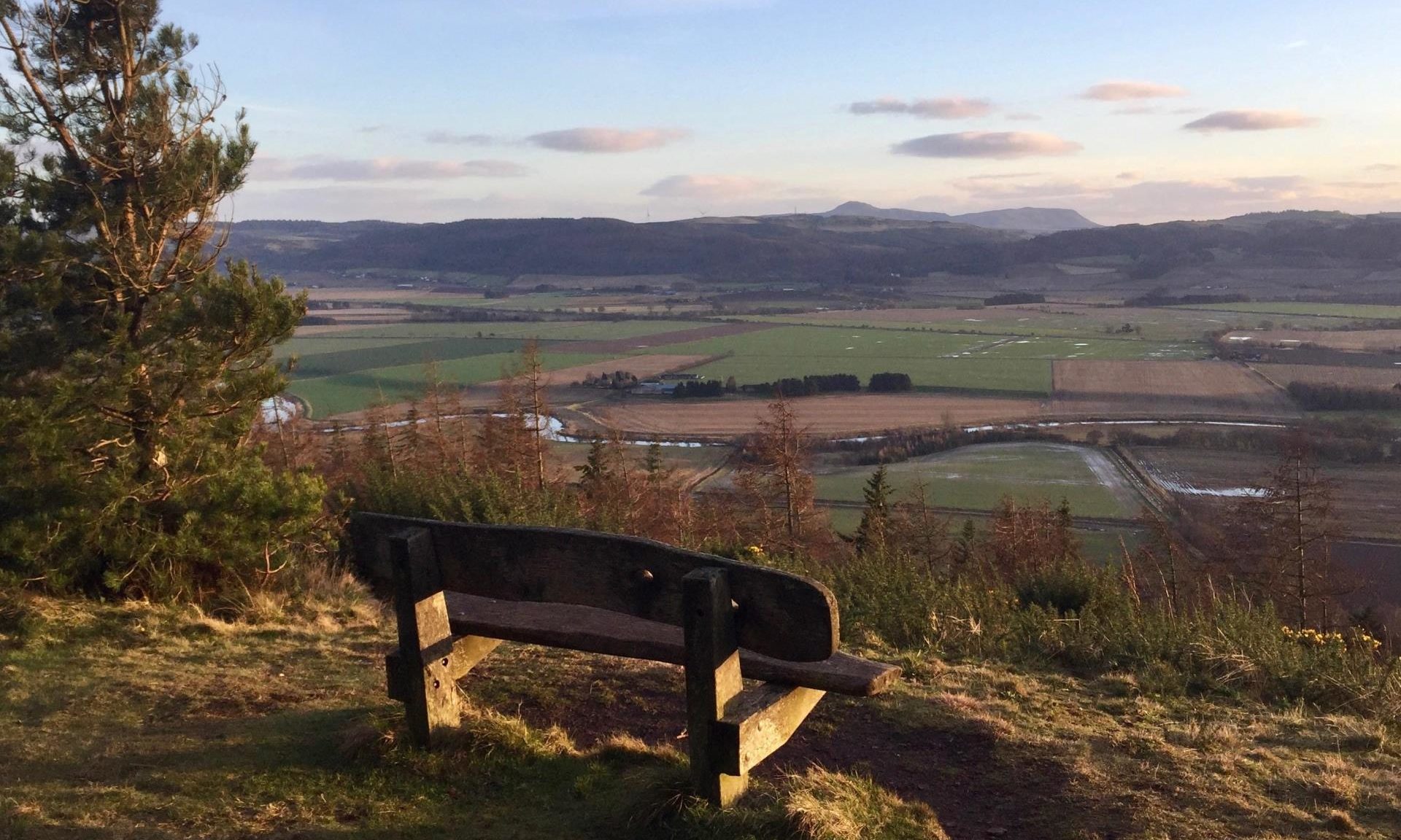 WALK THIS WAY: Moncrieffe Hill near Perth is ideal for a half-day excursion - Vimarsana News