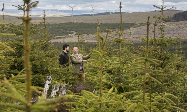 Raymond Henderson and Andy Turnbull from Bidwells examine forestry assets.