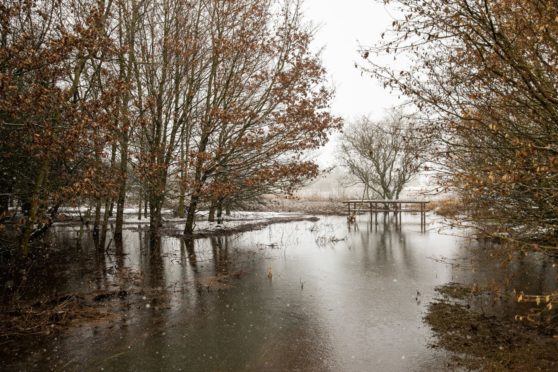 Forfar Loch