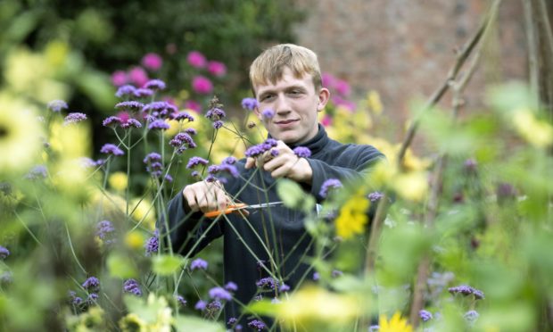 Kieran Bruce, a budding young apprentice gardener from Craigie in Perth at Scone Palace in 2019