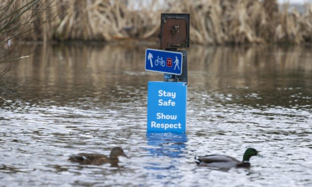 Ducks swim past a sign deep in floodwater on the cycle path on Perth's North Inch