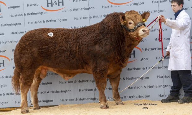 Pointhouse Paul topped the sale at 42,000gn.