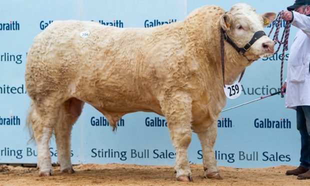 J H Wilson and Sons, Doranshill, Newry secured the days top price of 16,000gns.