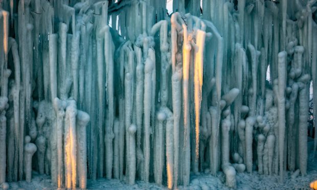 Illuminated by the low sun, the frosty spikes had been coated in more snowfall. Pic: Steve Brown.