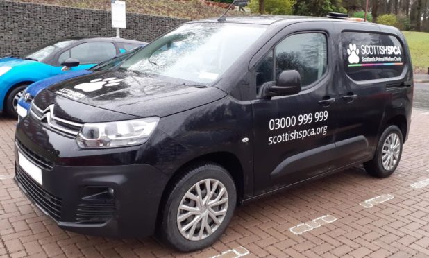 Image shows official Scottish SPCA vans which are coloured black, not white like the hoax vans that are reportedly operating in Perth and Kinross.