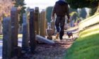 Dog walker in Balgay Cemetery, Dundee.   Picture to accompany story about new council signs to encourage dog walkers to respect the graveyard.
