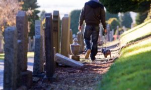 Opinion is divided over whether dogs should be banned from our cemeteries. Image: DC Thomson