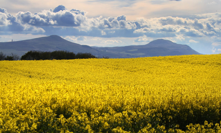 The Lomond Hills viewed from the Howe of Fife