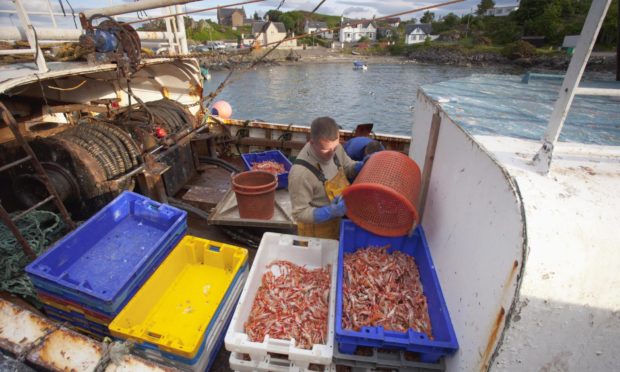 Scottish seafood problem
