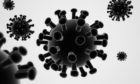 Virus Computer generated 3d render, Cronavirus Illustration.; Shutterstock ID 1655397826; Purchase Order: -