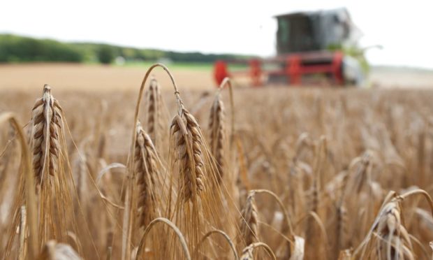 FIELDWORK: Scientists want more information on crops.