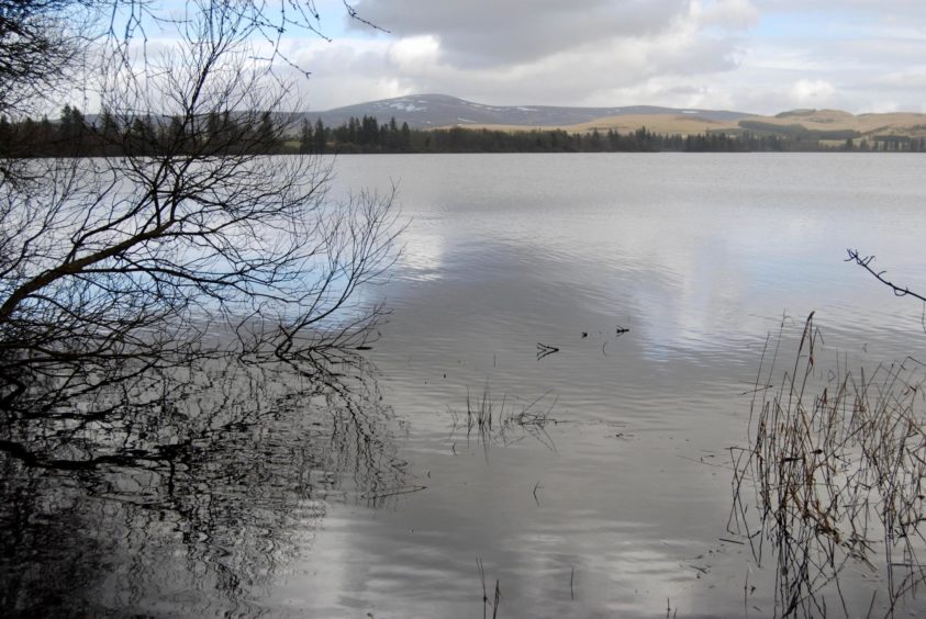 Loch of Lintrathen.