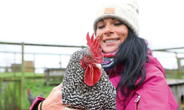 Gayle cuddles Hamish, a Scots Grey cockerel, at Murton Farm, near Forfar.