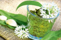 Pesto from wild garlic with wild garlic blooms and leaves, copy space                               ; Shutterstock ID 1620734416; Purchase Order: The Courier ; Job: The Menu March 20; 59811dcd-f3c0-4e5f-869f-09441f97e2a3