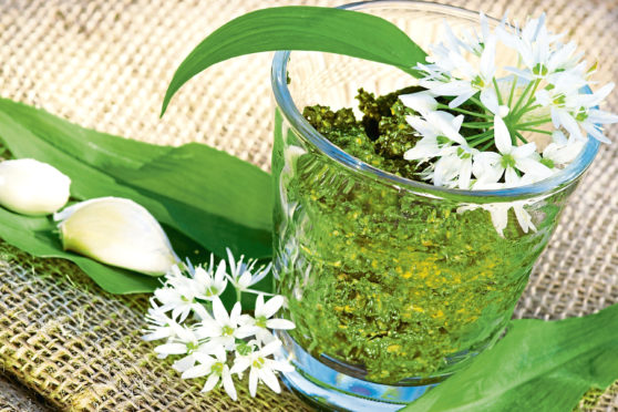 Pesto from wild garlic with wild garlic blooms and leaves, copy space                               ; Shutterstock ID 1620734416; Purchase Order: The Courier ; Job: The Menu March 20; 59811dcd-f3c0-4e5f-869f-09441f97e2a3
