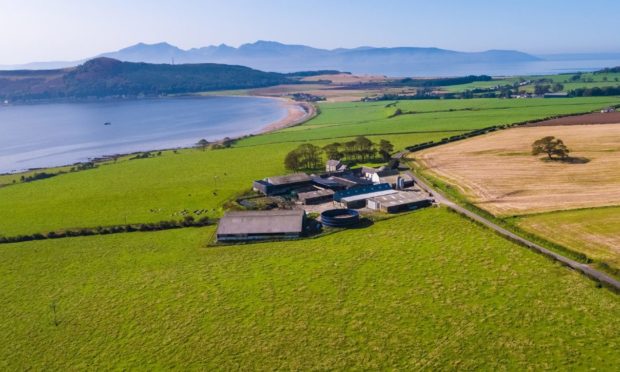 ISLAND LIFE: Help is being sought to establish a new dairy business on Bute.