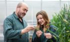 Professor Nigel Halford and  researcher Sarah Raffan of Rothamsted Research.