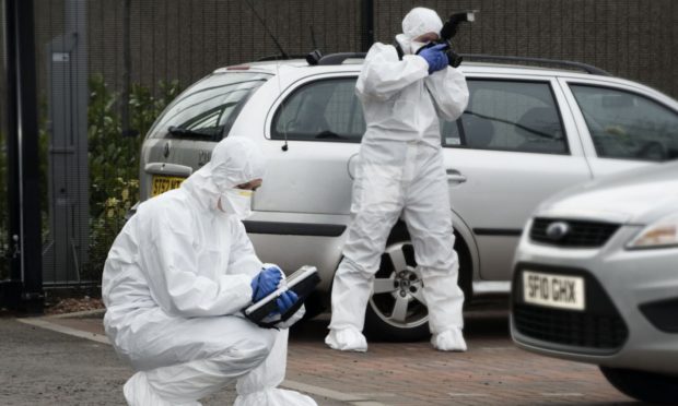 Forensic teams at work.