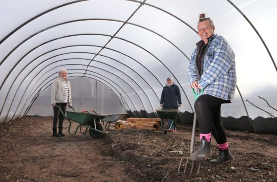 Food is Free Carnoustie volunteers Pauline Marr, Laura Tierney and Laura -May Kennedy in the new polytunnel.
