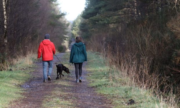 Walkers in Montreathmont Forest.