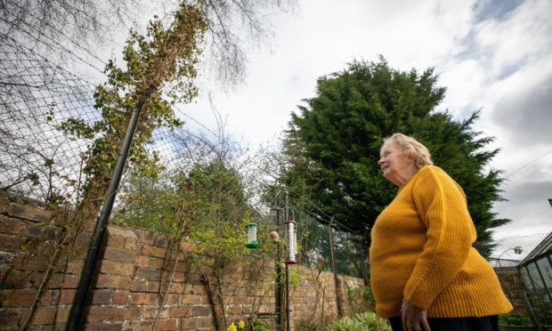 pensioner overgrown trees garden Dundee