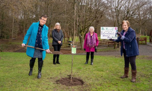 From left: Judith Moon, Wilma McCullough, Frances Allan and Christine MacFarlane plant a tree at Quarry Mill wood.