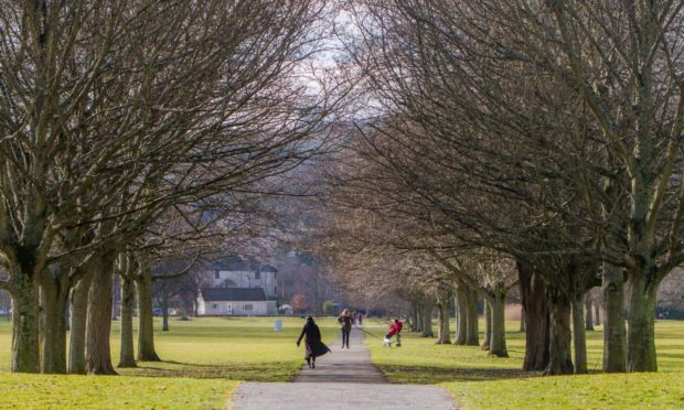 Police are investigating the incident at south Inch Park in Perth