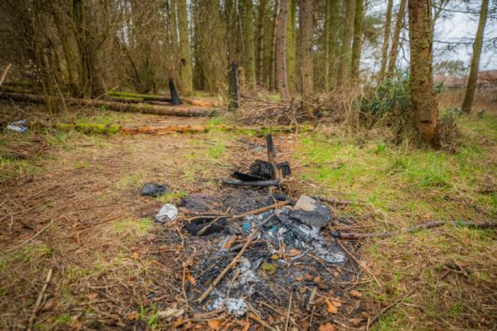 Fire damage at Caird Park.