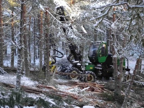 Snow posed a challenge for forestry workers at Seafield Estates in February.