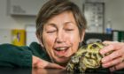 Barbara Barnard, with 17 year old tortoise, Mabel.