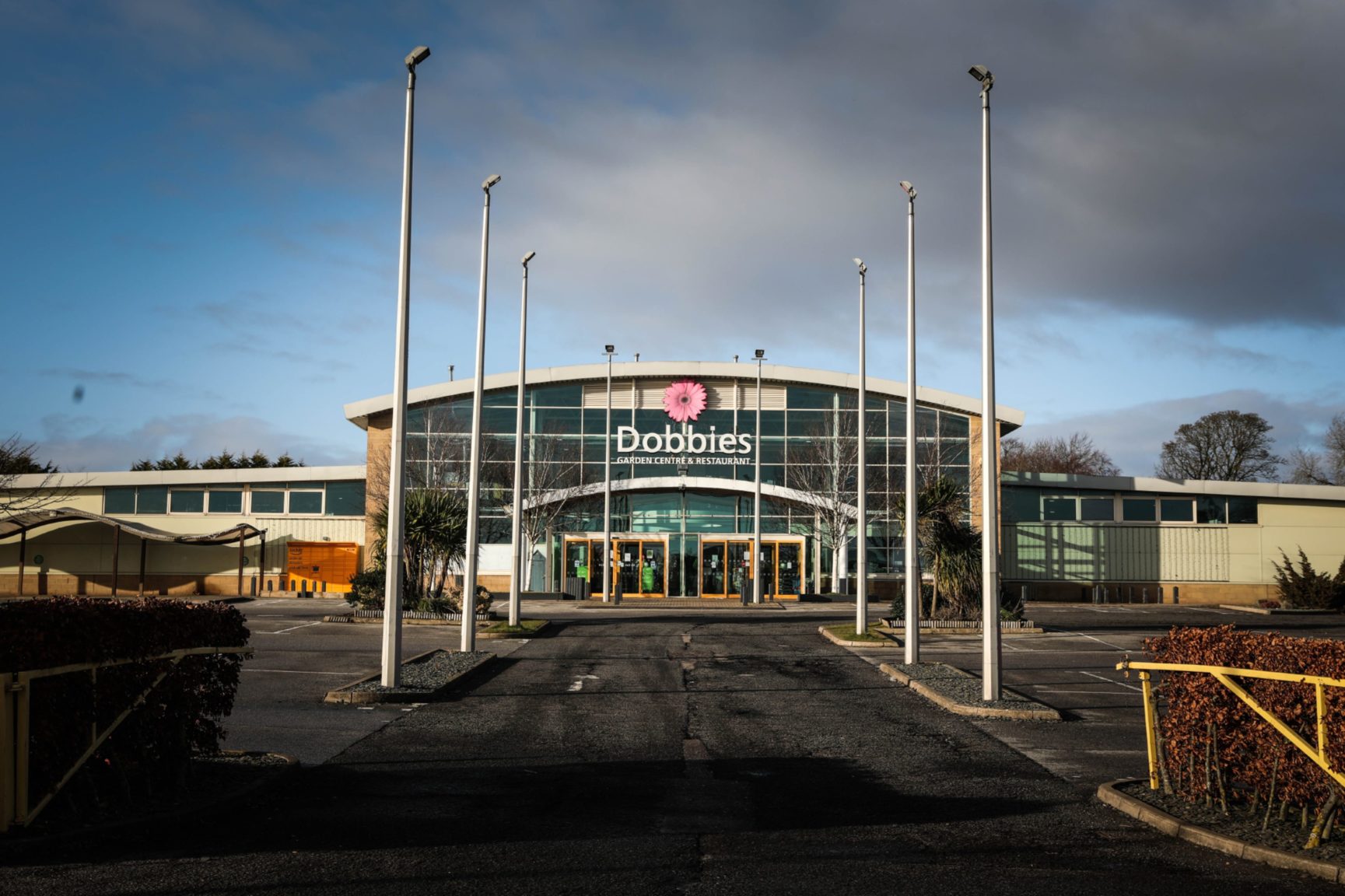 Dobbies Garden Centres reports surge in interest in gardening during pandemic