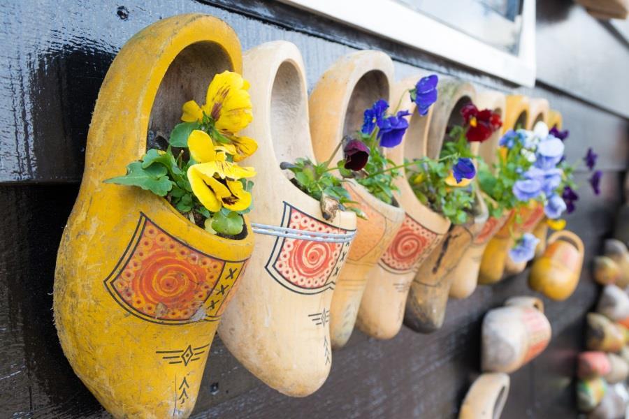 Clogs