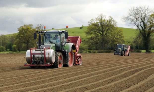 GROUNDED: Discussion is growing on how to kick-start the export of Scottish seed tatties to Europe.