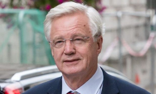 David Davis MP.