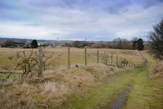Kim Cessford - 20.01.14 - HOLD FOR WORDS - pictured is Rosie Roady (to the right of the picture) in Forfar looking North towards the Montrose Road, Forfar, which will be in the middle of a proposed housing development