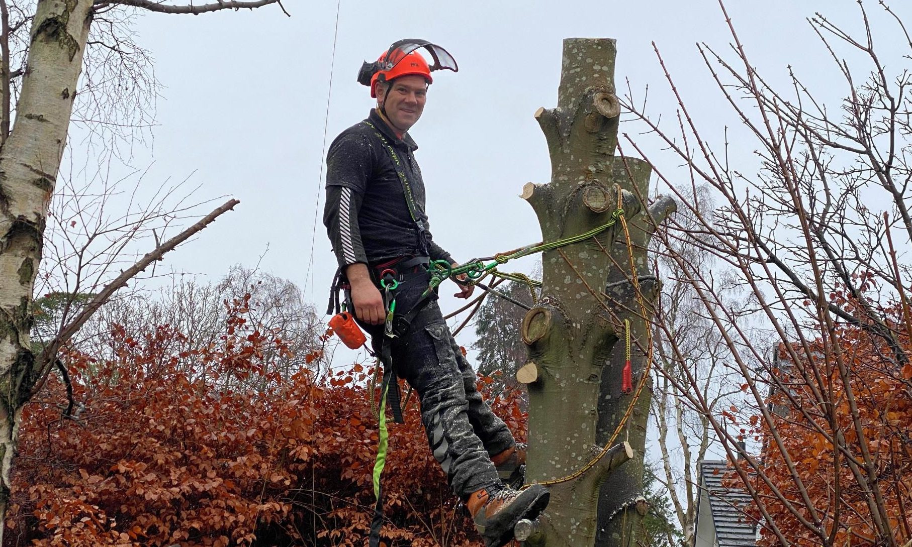 Graeme Ogg, owner of Timber Tree Surgery.