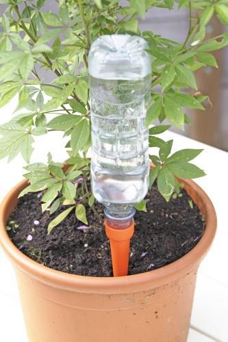 Automatic Watering Spikes