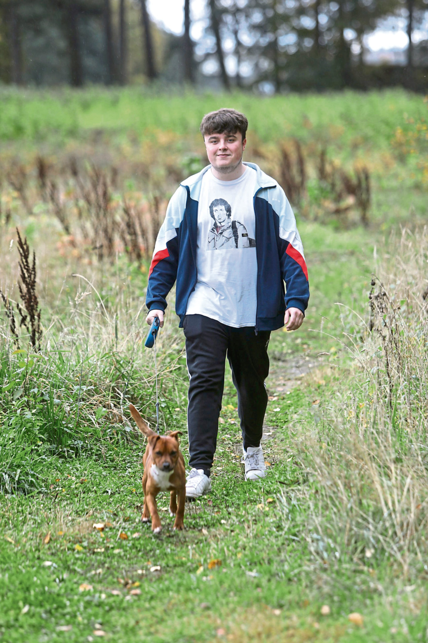 Dog theft Heartbreak caused by thieves exploiting demand for pandemic pets