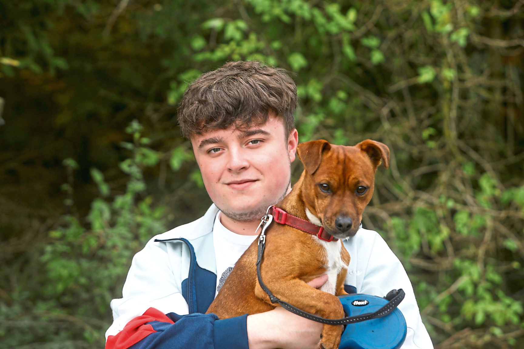 Dog theft Heartbreak caused by thieves exploiting demand for pandemic pets