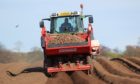 DELAY: Potato planting is in full swing but trials of a soil enhancer have had to be put on hold due to regulations.