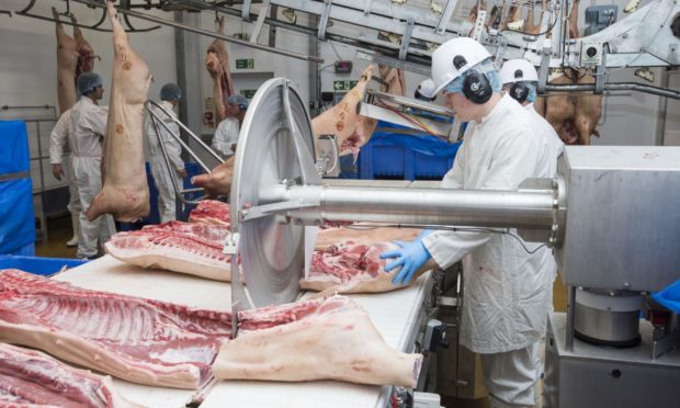 CUT TO THE BONE: UK pig producers are facing falling prices – and rising feed costs.