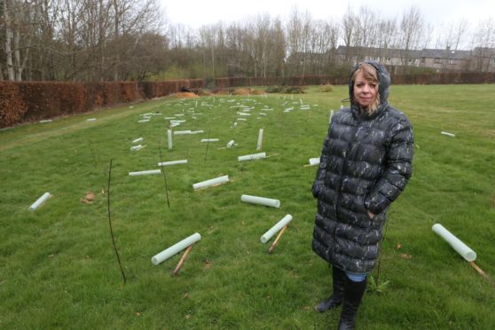 Resident Pauline Jackson with some of the damaged saplings at the Arbroath site.