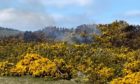 Lochore Meadows fire