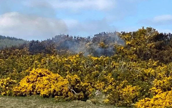 Lochore Meadows fire