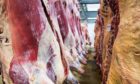 BOOST: Meat industry production could benefit from the clearer political policies.