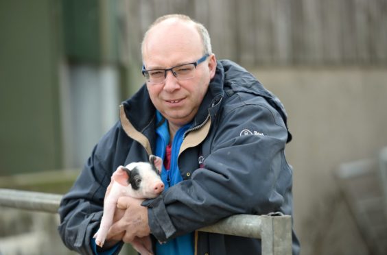 Pig farmer Kevin Gilbert features in the film.